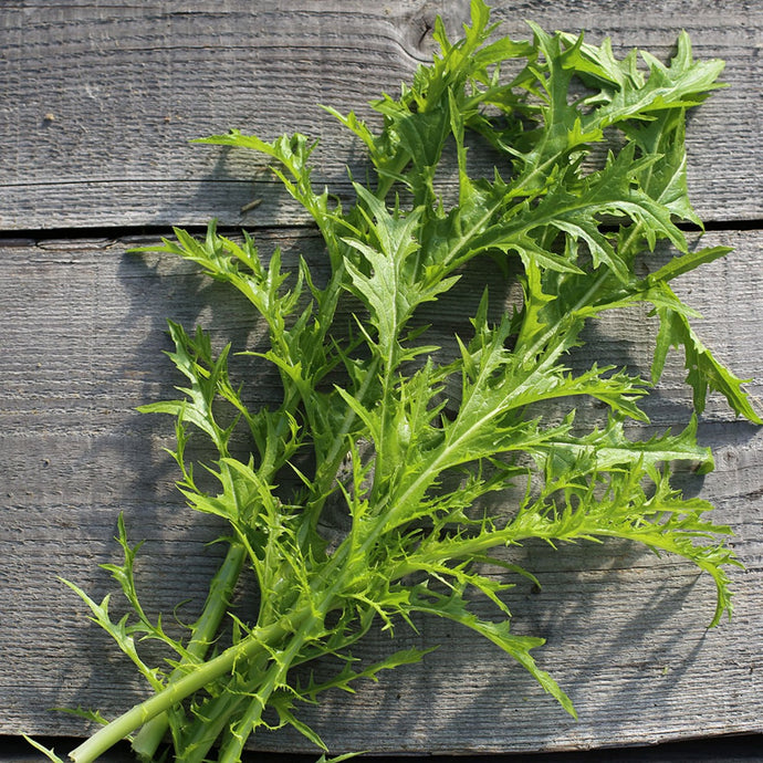 Mizuna