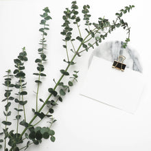 Charger l&#39;image dans la galerie, Eucalyptus Parvifolia
