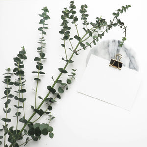 Eucalyptus Parvifolia