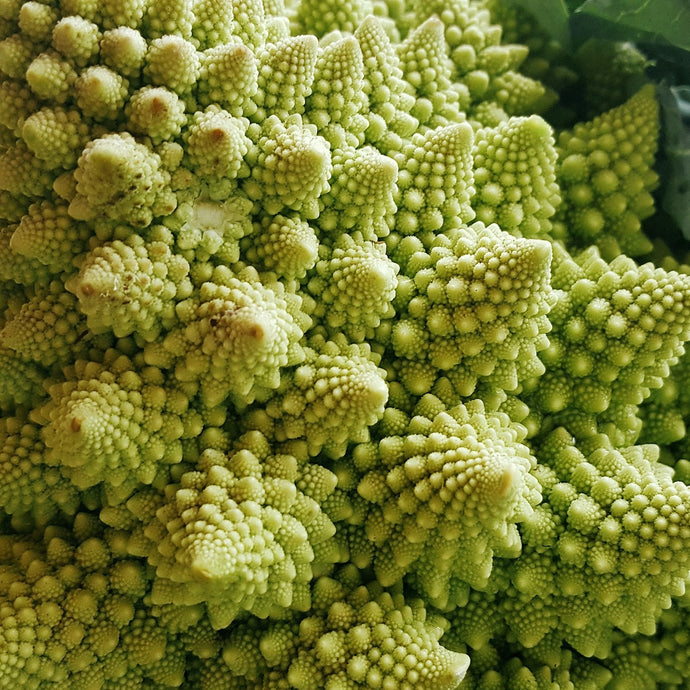 Chou Romanesco